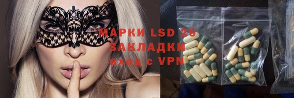 mdpv Вяземский