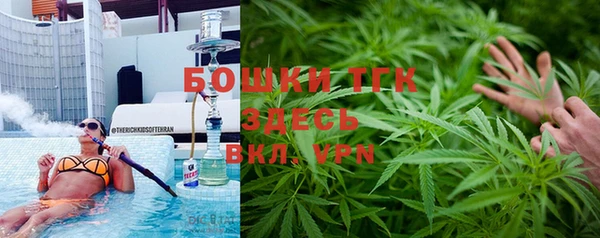 mdpv Вяземский