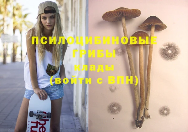 mdpv Вяземский