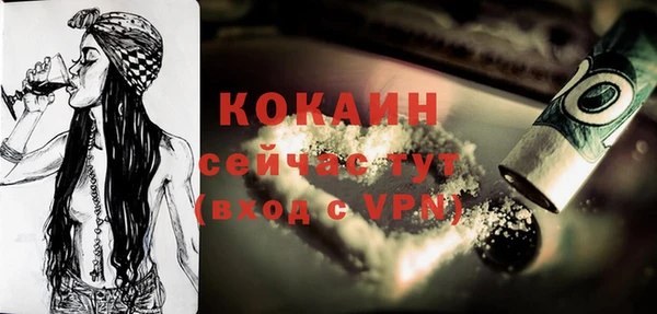 mdpv Вяземский