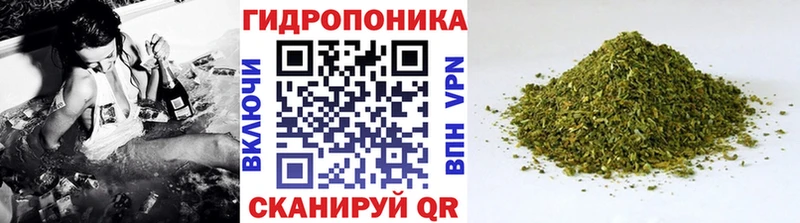 Купить  Раменское  Каннабис ГИДРОПОН 